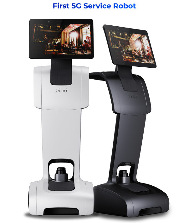 Buy sales temi robot