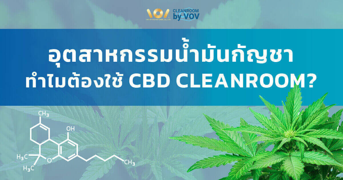 CBD Cleanroom คืออะไร ทำไมถึงจำเป็นต่ออุตสาหกรรมน้ำมันกัญชา