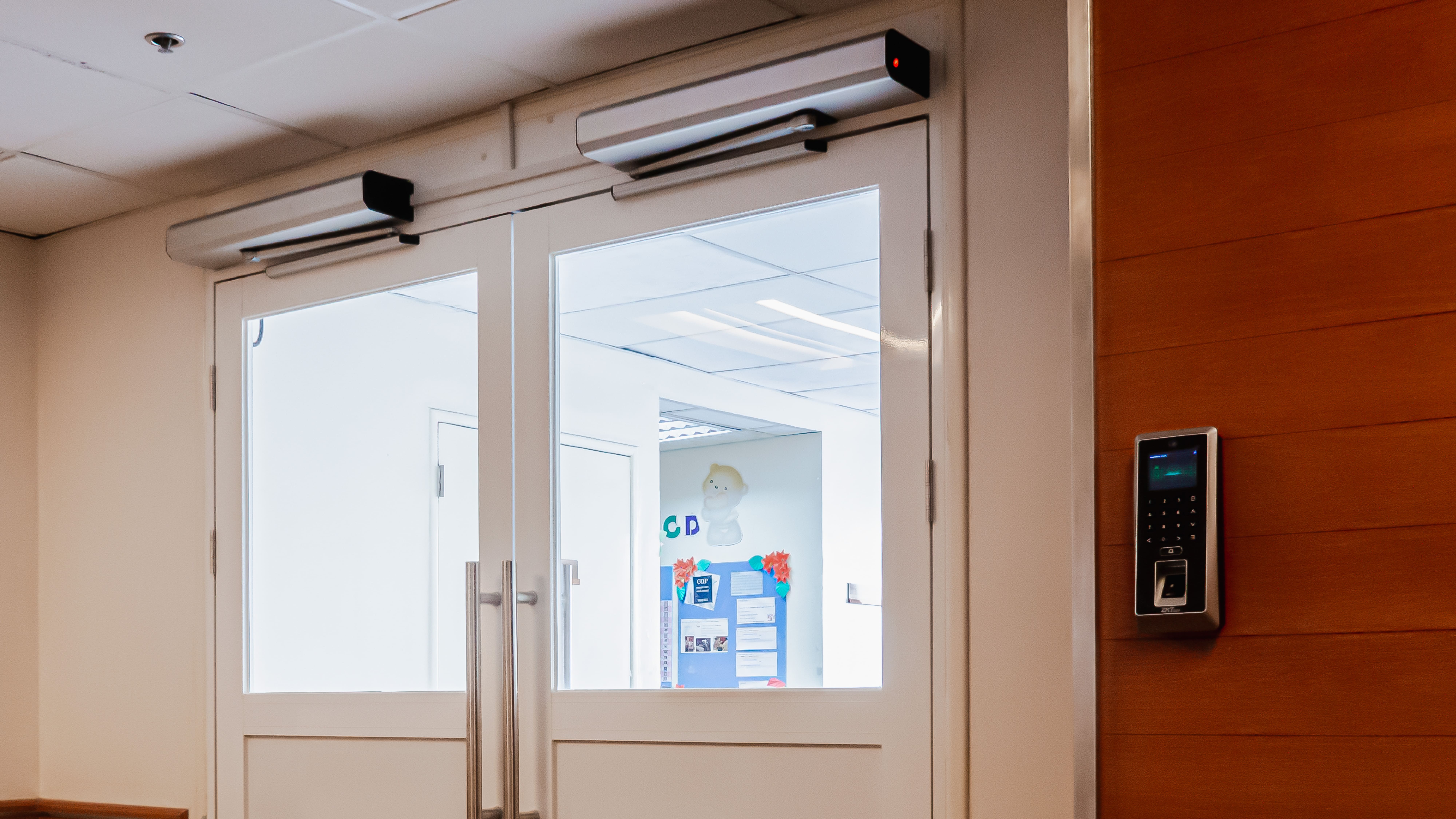 DVS - Automatic Swing Door